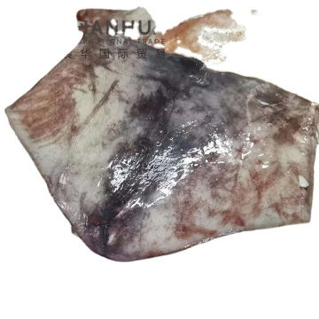 Giant Squid Wing 10kg Sacs Perivan Origin Pota Squid